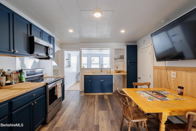 kitchen featuring blue cabinetry, sink, dark wood-type flooring, and appliances with stainless steel finishes