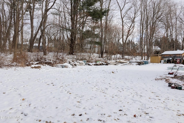 view of yard layered in snow