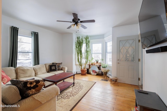 living room featuring ceiling fan and light hardwood / wood-style flooring