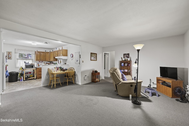 3-8 Morgan Mnr Unit 3-8, Lenox, MA 01240 - photo 8