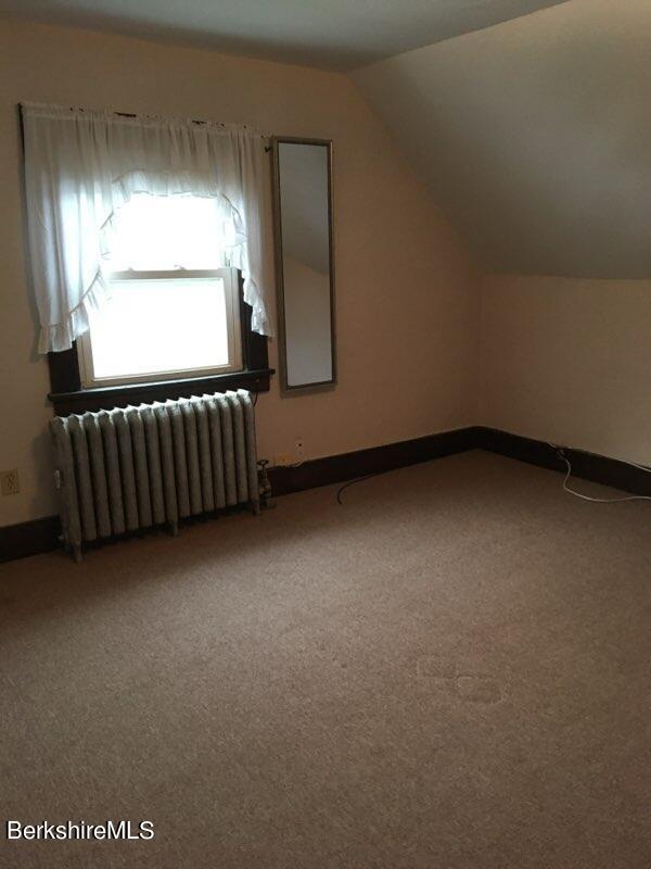 additional living space featuring radiator heating unit, carpet floors, and lofted ceiling