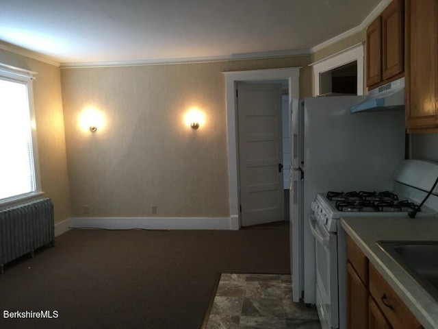 kitchen with radiator, crown molding, white gas stove, and sink