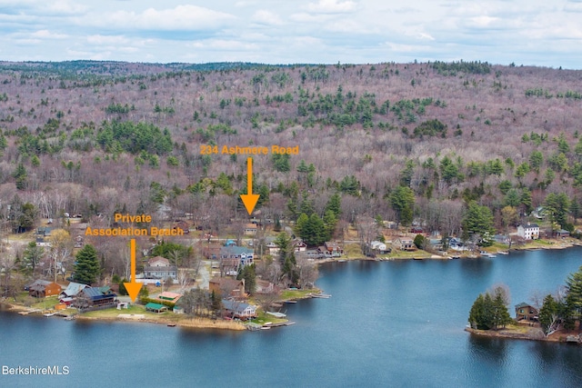 aerial view featuring a water view and a view of trees