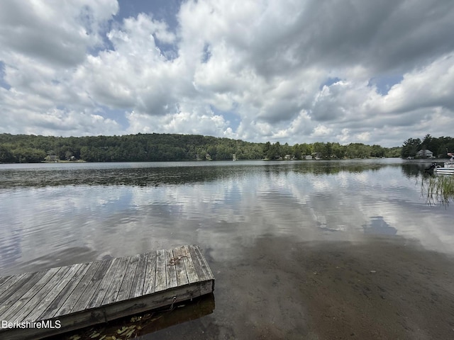 137 Sherwood Dr, Becket, MA 01223 - photo 12
