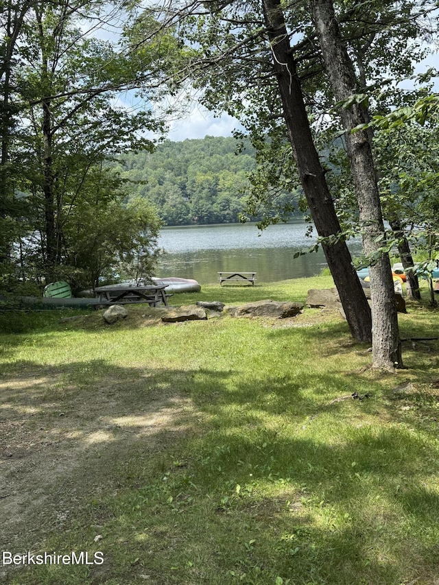 137 Sherwood Dr, Becket, MA 01223 - photo 14