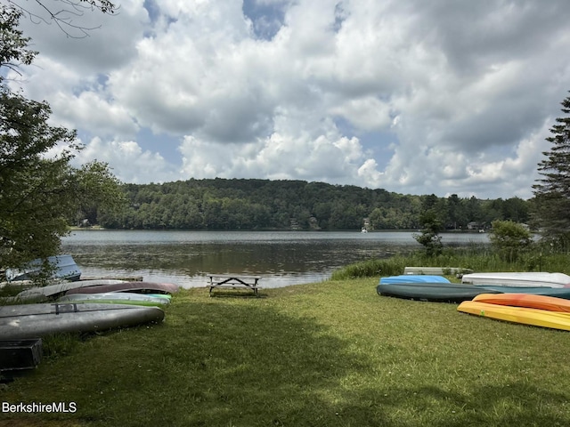 137 Sherwood Dr, Becket, MA 01223 - photo 13