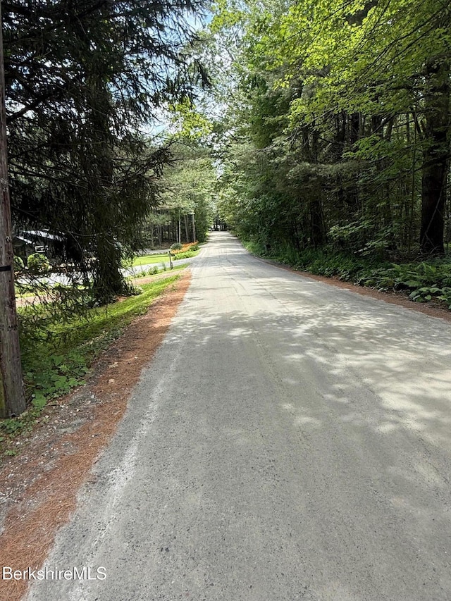 137 Sherwood Dr, Becket, MA 01223 - photo 6