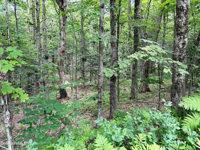 137 Sherwood Dr, Becket, MA 01223 - photo 4