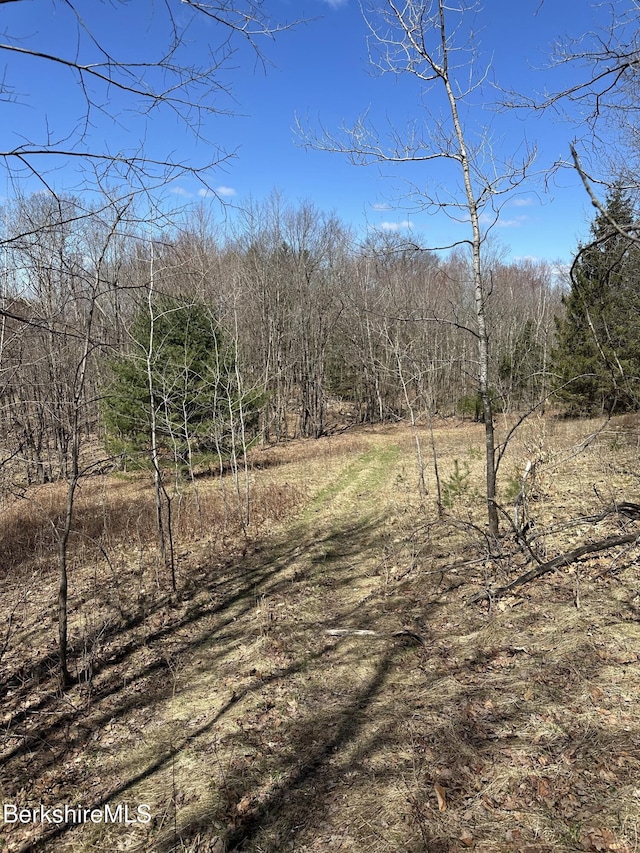 view of yard with a view of trees