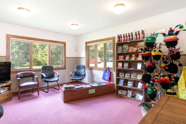 2049 S Undermountain Rd, Sheffield, MA 01257 - view of carpeted office space