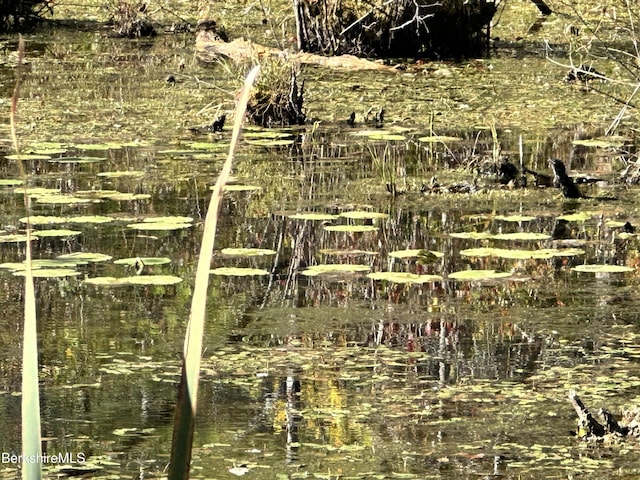 view of nature