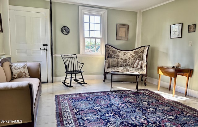 living area featuring ornamental molding