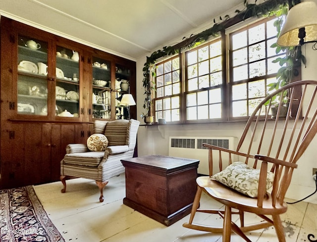 sitting room with a wealth of natural light and radiator