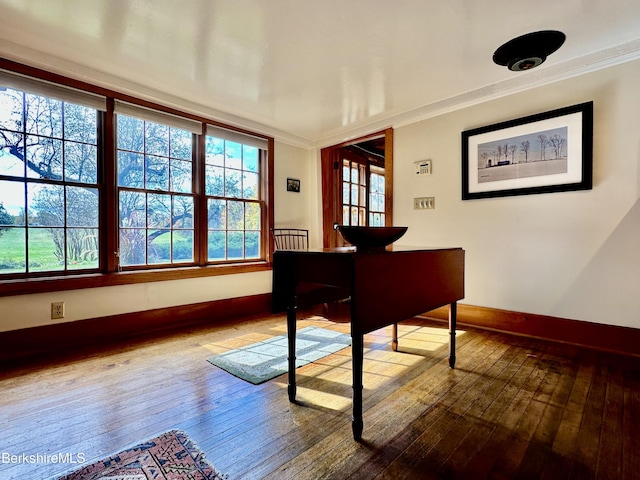 miscellaneous room featuring hardwood / wood-style flooring and crown molding