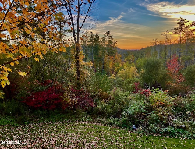 view of yard at dusk