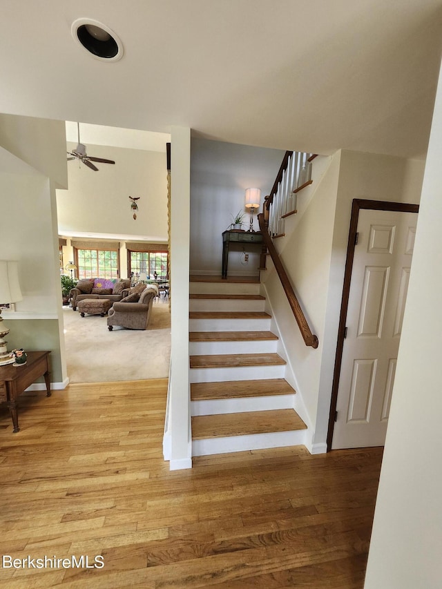 staircase featuring ceiling fan and hardwood / wood-style floors