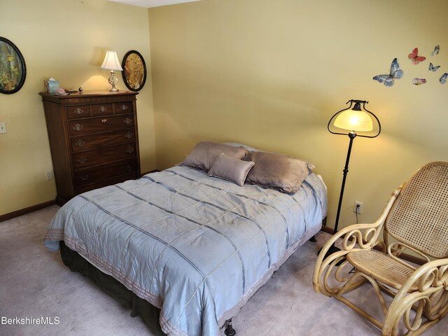 bedroom featuring a closet and carpet floors