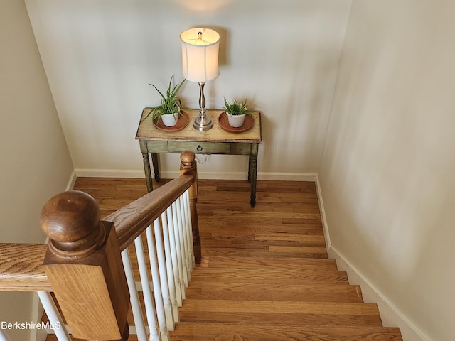 stairs with hardwood / wood-style floors