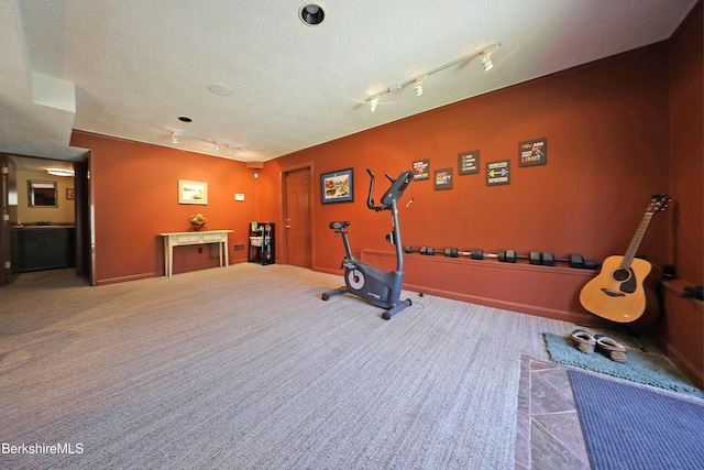 55 Mallard Dr, Becket, MA 01223 - exercise room with rail lighting, carpet, and a textured ceiling