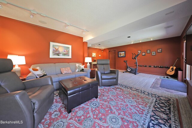 55 Mallard Dr, Becket, MA 01223 - living room featuring rail lighting and carpet floors