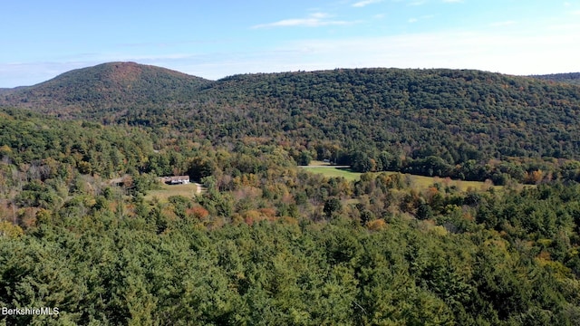 view of mountain feature