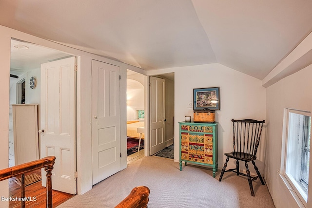 132 Sandisfield Rd, Sandisfield, MA 01255 - living area featuring lofted ceiling, carpet flooring, and arched walkways
