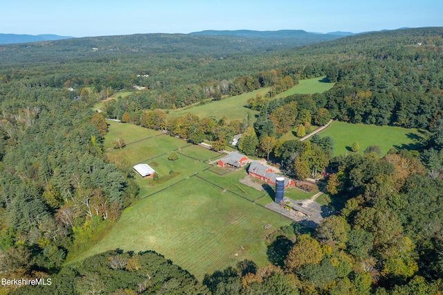 birds eye view of property featuring a mountain view