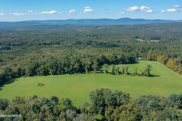 birds eye view of property featuring a mountain view