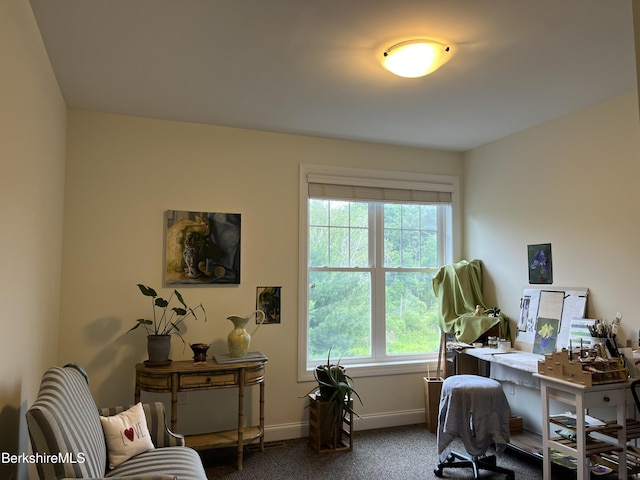 4 Evergreen Trl Unit 4, Lenox, MA 01240 - office space featuring carpet and healthy amount of natural light