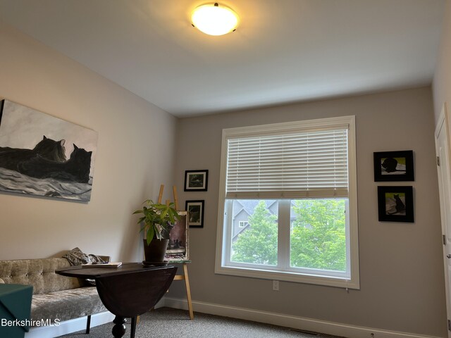 4 Evergreen Trl Unit 4, Lenox, MA 01240 - office with baseboards and carpet