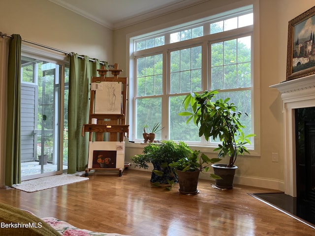 4 Evergreen Trl Unit 4, Lenox, MA 01240 - sitting room featuring a fireplace, ornamental molding, and wood finished floors