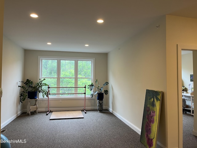 4 Evergreen Trl Unit 4, Lenox, MA 01240 - workout room featuring carpet and recessed lighting