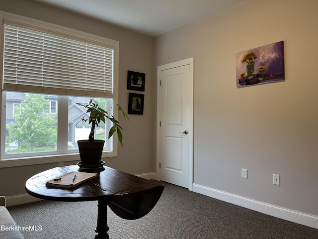 4 Evergreen Trl Unit 4, Lenox, MA 01240 - office featuring dark colored carpet and baseboards