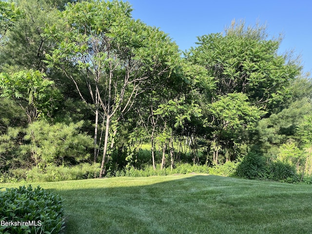 4 Evergreen Trl Unit 4, Lenox, MA 01240 - view of green lawn