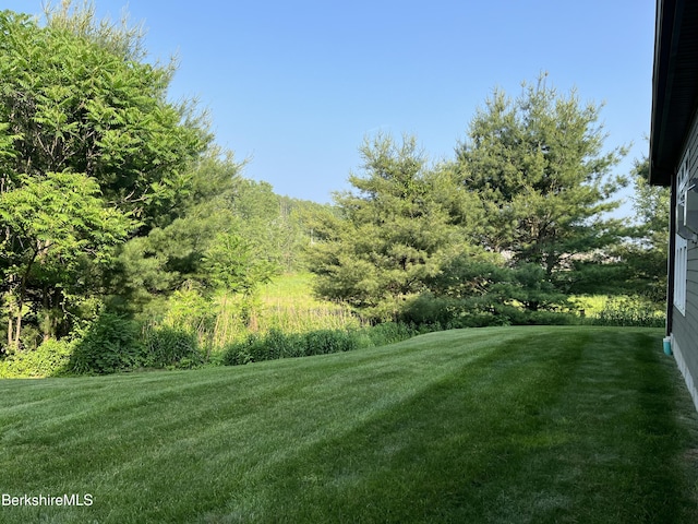 4 Evergreen Trl Unit 4, Lenox, MA 01240 - view of grassy yard