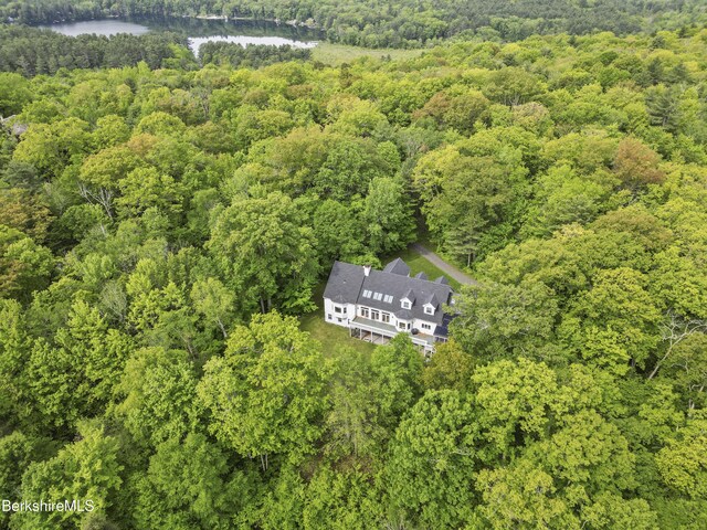 141 Stevens Lake Way, Monterey, MA 01245 - photo 73