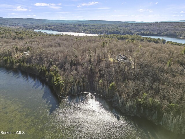 141 Stevens Lake Way, Monterey, MA 01245 - photo 77