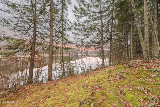 141 Stevens Lake Way, Monterey, MA 01245 - photo 78