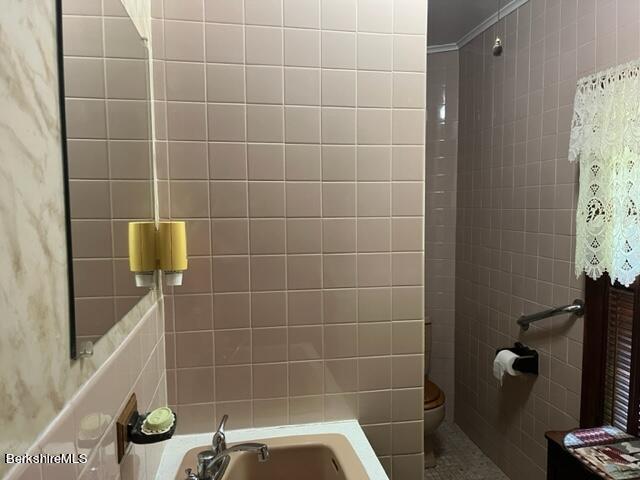 bathroom with sink, ornamental molding, and toilet