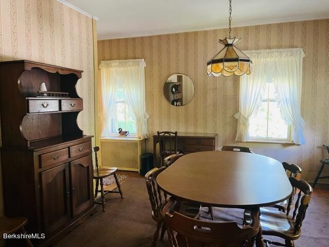 dining area with dark carpet and radiator