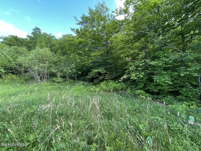 2438 Mohawk Trl, North Adams, MA 01247 - photo 5