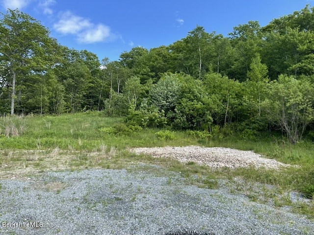 2438 Mohawk Trl, North Adams, MA 01247 - photo 3