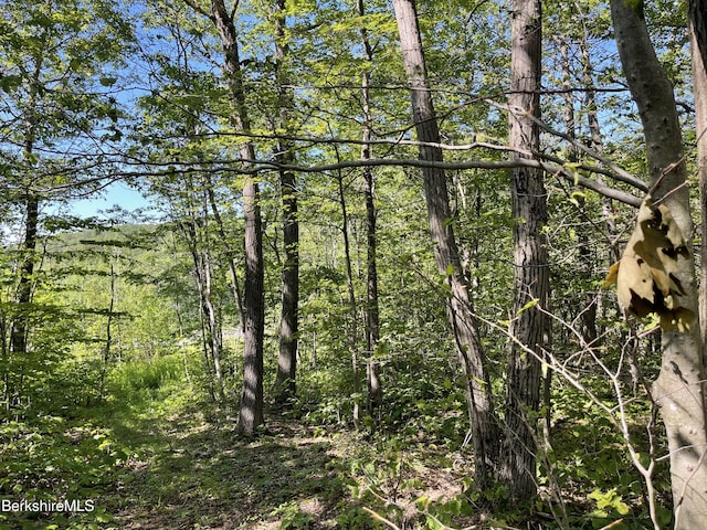 2438 Mohawk Trl, North Adams, MA 01247 - photo 1