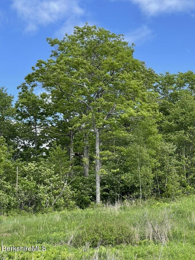 2438 Mohawk Trl, North Adams, MA 01247 - photo 4