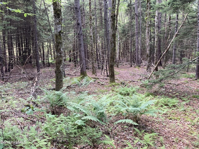 LOT32 Leonhardt Rd, Becket, MA 01223 - photo 4