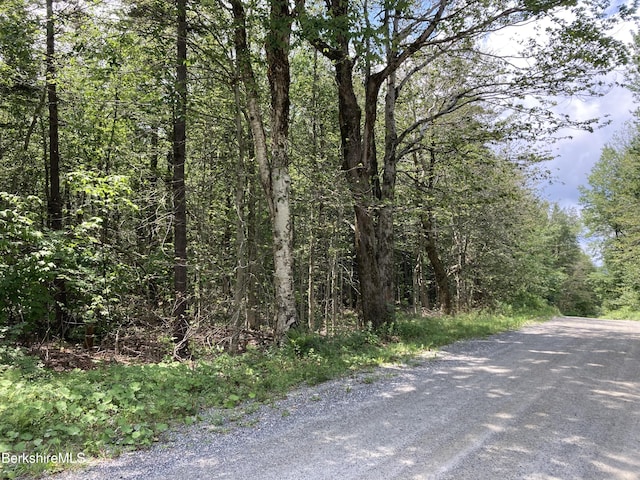 LOT32 Leonhardt Rd, Becket, MA 01223 - photo 2