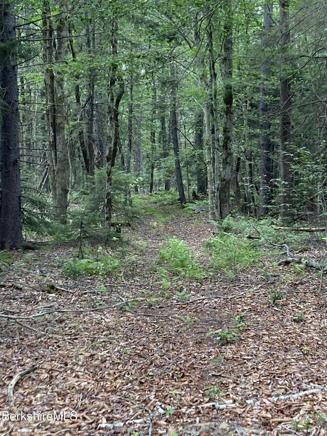 LOT32 Leonhardt Rd, Becket, MA 01223 - photo 3