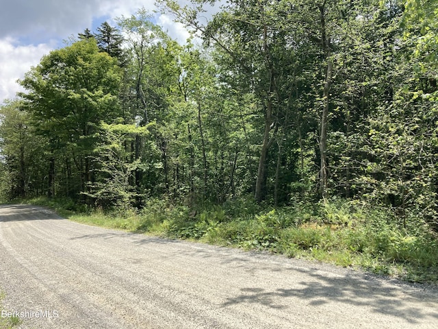 LOT32 Leonhardt Rd, Becket, MA 01223 - photo 1