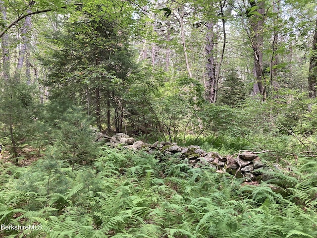 LOT32 Leonhardt Rd, Becket, MA 01223 - photo 5