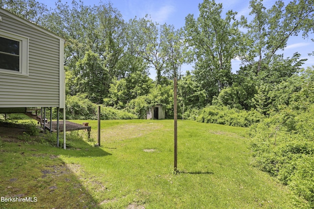 26 Crosier Ave, Pittsfield, MA 01201 - view of grassy yard